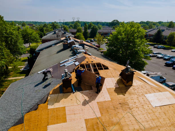Best Gutter Installation and Roofing  in Woodhaven, MI