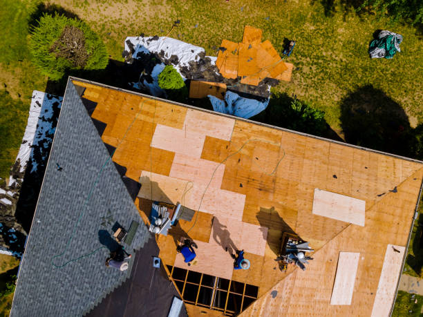Best Roof Gutter Cleaning  in Woodhaven, MI