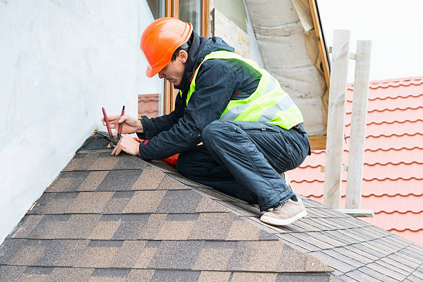 Best Roof Repair Services  in Woodhaven, MI