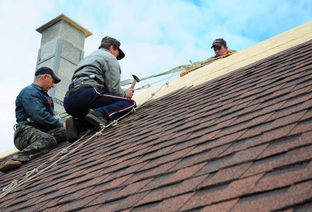 Best Residential Roofing Contractor  in Woodhaven, MI