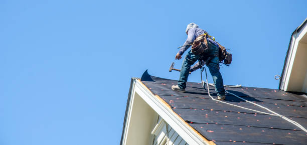 Best Sealant for Roof  in Woodhaven, MI